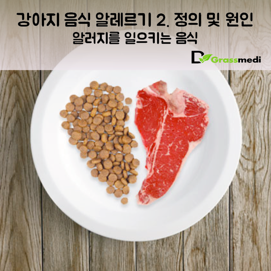 개는 무엇에 알레르기가 있습니까