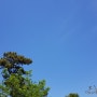 오늘은 무척 파란 하늘이네요