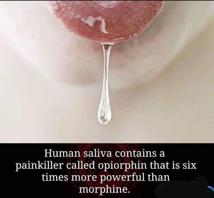 saliva 침, 타액(唾液) | 영어 단어 : 네이버 블로그