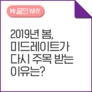 [Mr.꿀의 WHY] ③ "미드레이트가 다시 주목 받는 3가지 이유" (feat. 카드뉴스)