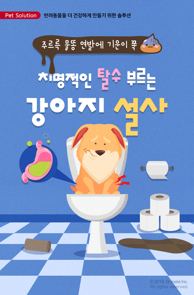 강아지 똥이 하얗다면 무슨 뜻인가요