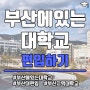 부산에 있는 대학교 부산 거주자 편입 지원할 학교 살펴보기