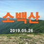[소백산(6), 어의곡-비로봉-천동주차장] 20190526