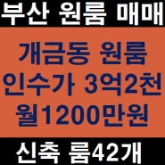 부산 개금 신축 원룸 매매 3억 투자 월 1200만원 수익률18%