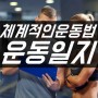 운동루틴/ 운동일지/유튜브 헬스뇌피셜