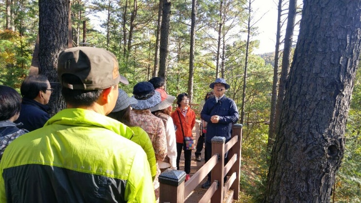 숲해설가 등 숲활동가가 되는 방법 : 네이버 블로그