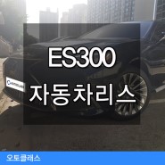 ES300리스 럭셔리모델 후기 빠른속도에 만족