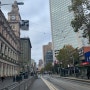 Melbourne+290~294 모든게 마지막이야