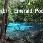 아빠와 아들 태국일주여행기-2일차Krabi -Emerald Pool(끄라비에메랄드풀+야시장)