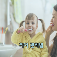 치아관리법, 충치예방 할 수 있는 방법은?