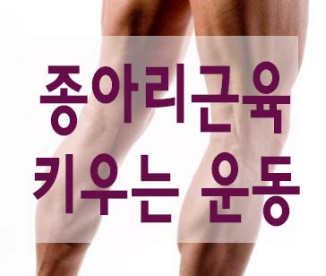 남자 하체 종아리근육 키우는 운동 : 네이버 블로그