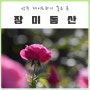 상주 가볼만한곳:: 함창 명주테마파크 장미동산 데이트코스