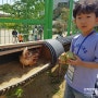 2019동물복지인증축산농장체험단 아이와 갈만한곳