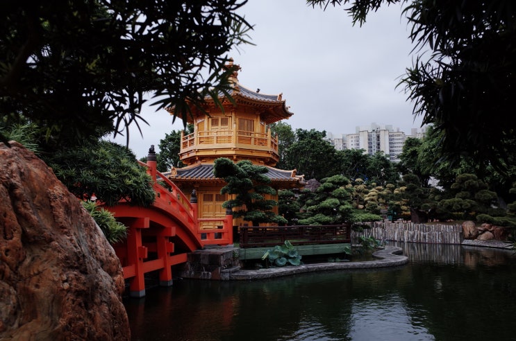 [홍콩여행] 치린 수녀원 Chi Lin Nunnery(志蓮淨苑) 난리안 가든  Nan Lian G....