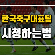 대한민국 20세이하 축구 대표팀 4강 진출!