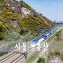 [D850] Seoul, 응봉산 [ 서울 풍경 / 서울 풍경 명소 / 서울 풍경 좋은곳 / 응봉산 개나리 ]