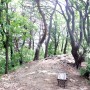 청계산 등산코스(청계산입구역~옥녀봉~매봉~대공원역)