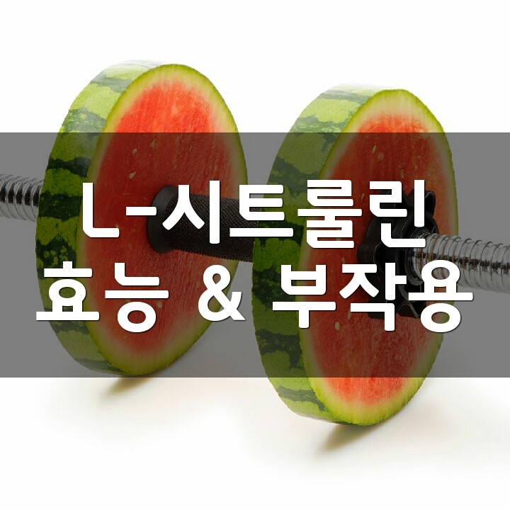 L-시트룰린 (L-Citrulline) 효능, 부작용, 권장량, 제품 순위 : 네이버 블로그