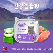 포르자10_면역력 강화에 도움을 주는 프리미엄 주식캔 : 건강캡슐10 Immune(고양이)