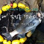 충남 태안권 몽산포(몽대) 워킹출조