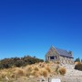 [뉴질랜드신혼여행] 2일차 :: 선한목자의 교회, 테카포 호수, 맛집 코한레스토랑