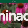 허브아일랜드_허브식물도감_에키네시아(Echinacea)