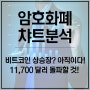 비트코인 상승장? 아직이다! 11,700 달러 돌파할 것!