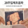 [임신 28주] 입체 초음파, 만삭 촬영 그리고 경기도 성남 출산 혜택 정리!
