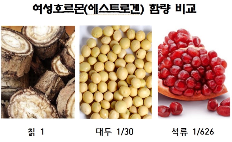 칡(칡즙,갈근)의 효능과 부작용&여성호르몬(에스트로겐) 음식 : 네이버 블로그
