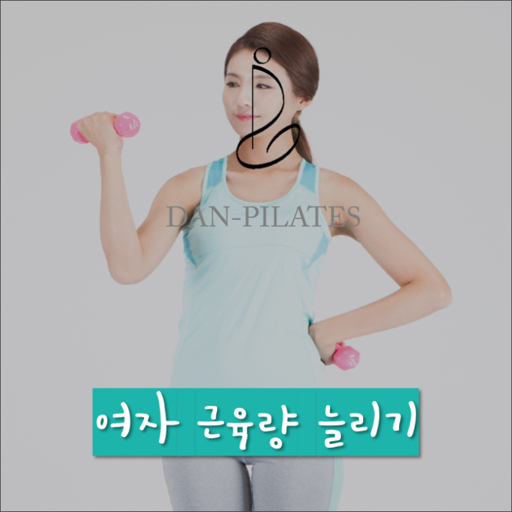 여자 근육량 늘리기, 근육량 늘리는 운동은? : 네이버 블로그