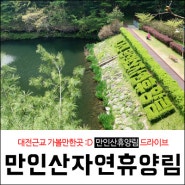 대전 근교 가볼만한 곳 :D 만인산 자연 휴양림 & 봉이호떡