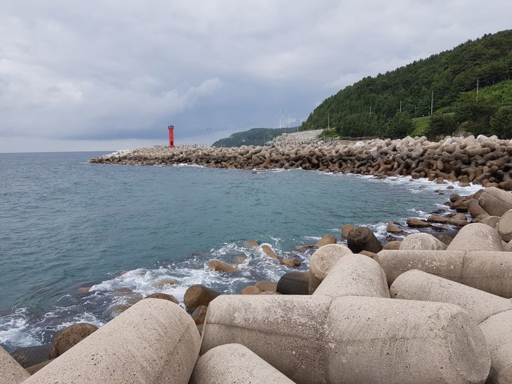 '2019.06.10 방파제 벵에돔 낚시(경북 영덕군 영덕읍 노물리 노물 방파제) : 네이버 블로그