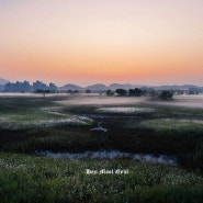 인천논현동 여름철 볼 수 있는 소래습지 생태공원 풍경