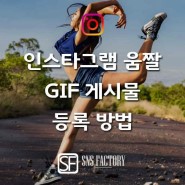 인스타그램 GIF 움짤 게시물 등록 방법