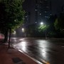 [일일스냅] 비오는 거리
