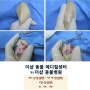 송파구 강아지 슬개골 탈구 수술, 송파구 강아지 무릎수술, 잠실나루역 동물병원, 더샵 동물병원