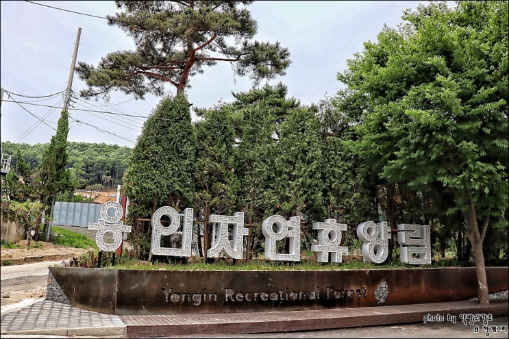 용인여행 체험 가득한 경기도 용인자연휴양림 : 네이버 블로그