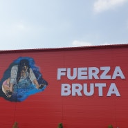 푸에르자부르타 FUERZABRUTA 후기.