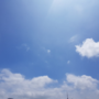 다이슨 공기청정기 ‘퓨어쿨TM 미’로 더운 여름 시원하게 보내세요!