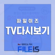 TV다시보기 사이트 집순이는 필독~