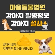 광주동물병원 강아지설사 마음이 전하는 건강정보