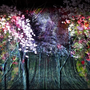 인천대공원 벚꽃축제 홀로그램 미디어아트