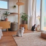 제주살이, 고양이가 있는 주택 집 인테리어 :)
