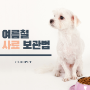 강아지고양이 식중독 대비! 여름철 사료관리법