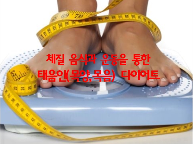 태음인(목양,목음) 체질, 다이어트(살빼는) 방법,음식,운동 : 네이버 블로그