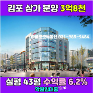 김포 상가 분양 3억 8천만 실평 43평 수익률 6.2%