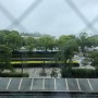 일본 도쿄 출장 중, 도쿄6월날씨 흐림