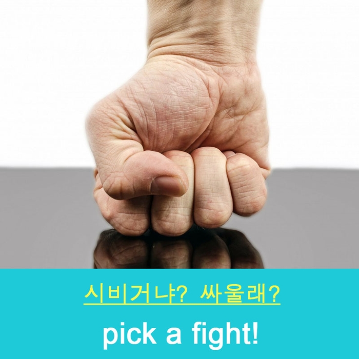 시비걸다, 싸움을 걸다 영어로 표현하기 - Pick a fight! : 네이버 블로그