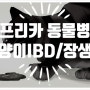 고양이 장생검/IBD - 인천 동물병원, 굴포천 동물병원, 삼산동 동물병원, 부평 동물병원