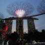 [한 여름 싱가포르 여행] 3. 싱가포르에서 놀기 (유니버셜 스튜디오, 센토사 루지, 멀라이언파크, 가든즈 바이더 베이)